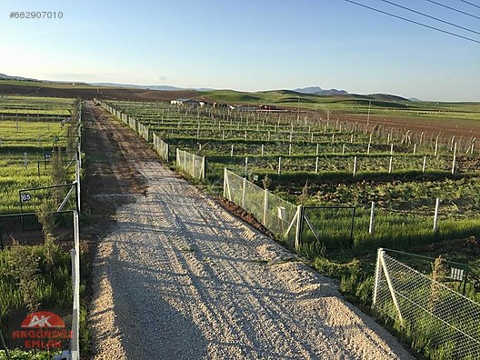 Sincan Temelli Eskisehir Goletine 800 Metre Olan Hobi Bahcemiz Gayrimenkulcu Com Da